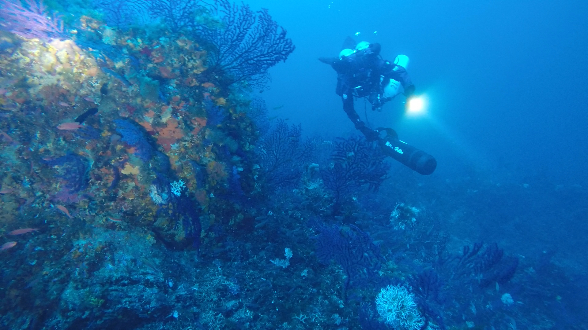 panorama coralligeno a cala rubasacchi