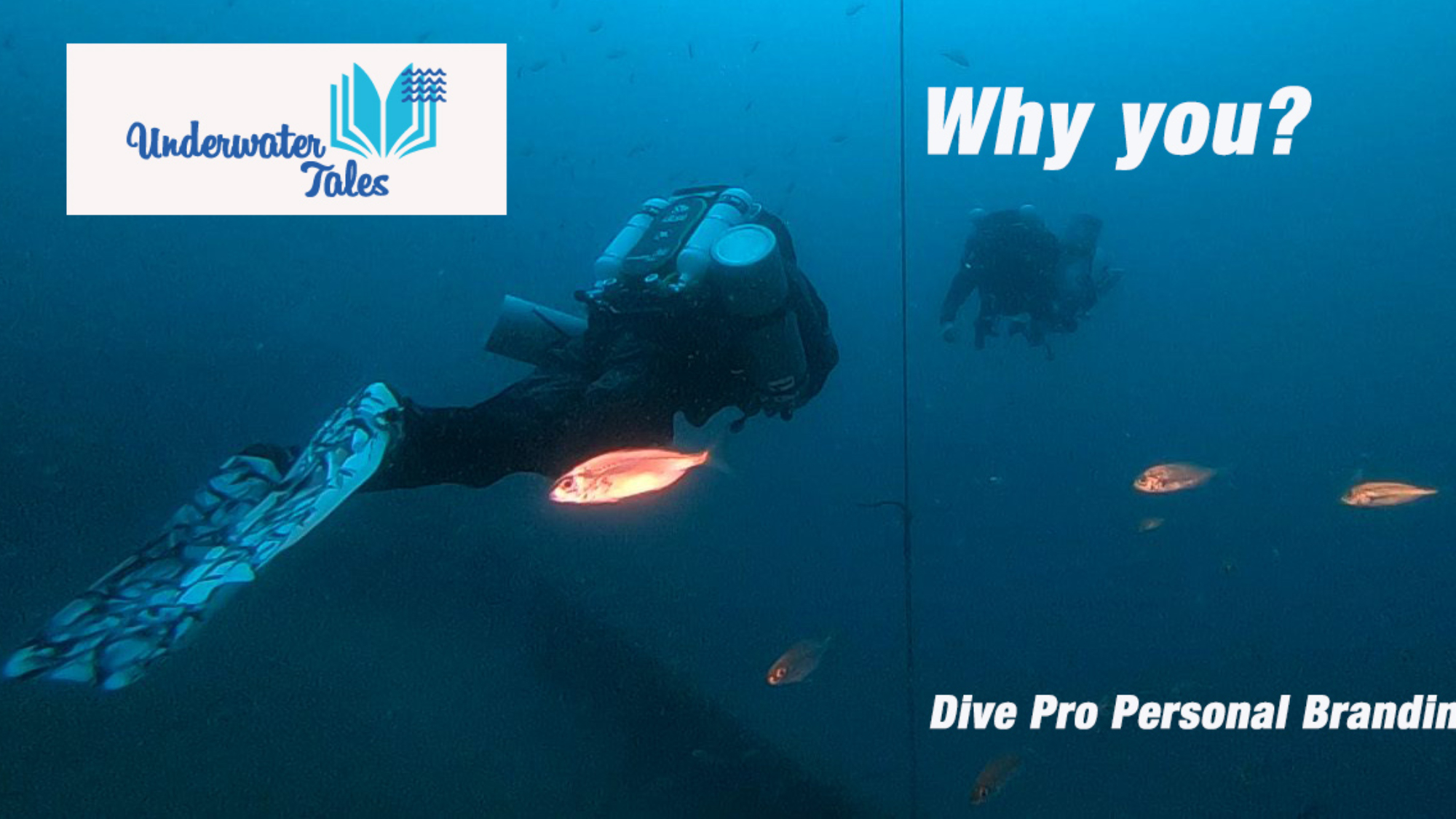dive-pro-personal-branding