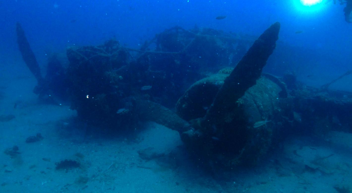 Il BR20 è uno dei relitti meglio conservati dell'intero Mar Mediterraneo