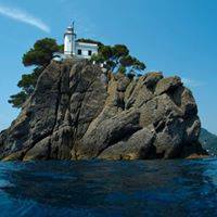 Eccoci al Faro di Portofino. Qui sotto una rana pescatrice sonnecchia.