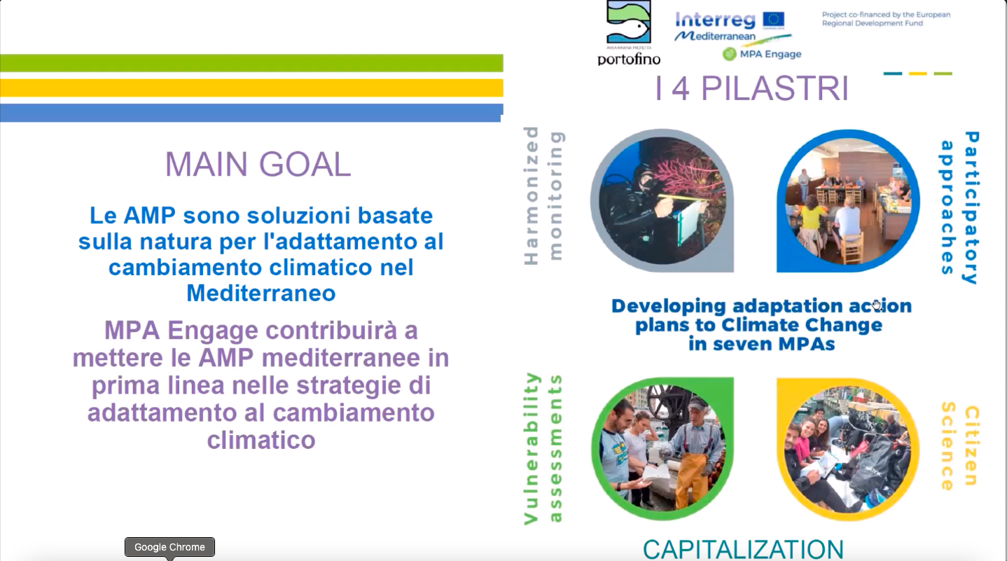 MPA-Engage: gli effetti dei cambiamenti climatici. I 4 pilastri.