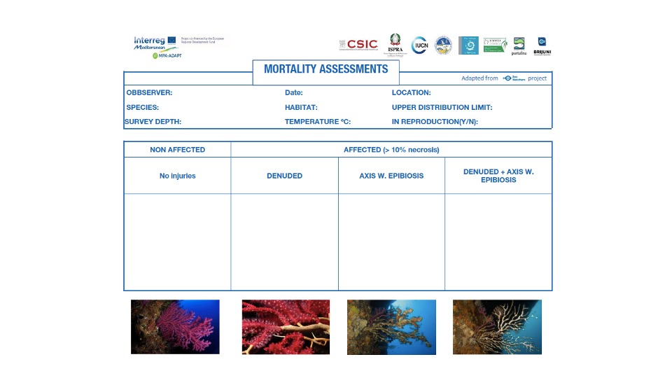 MPA-Engage: gli effetti dei cambiamenti climatici