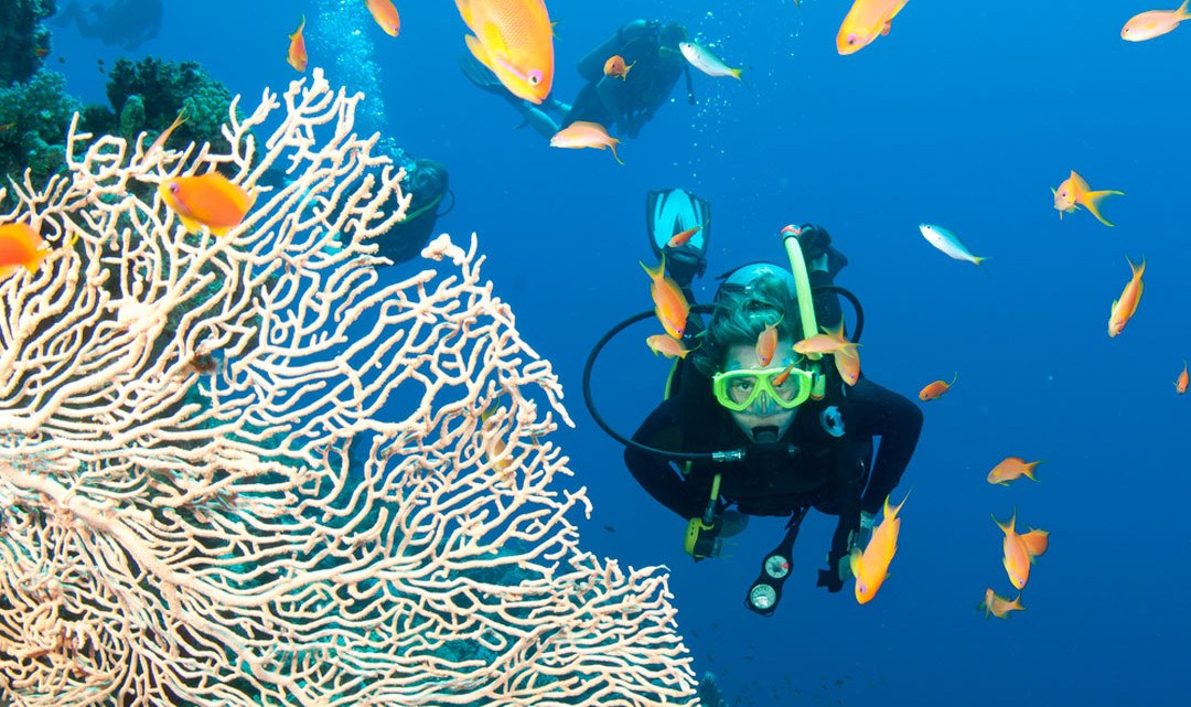 Le immersioni curano i pazienti affetti da stress post traumatico
