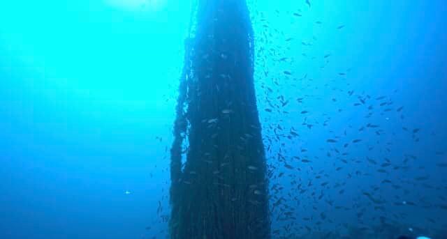 La rete fantasma di Isola delle Femmine