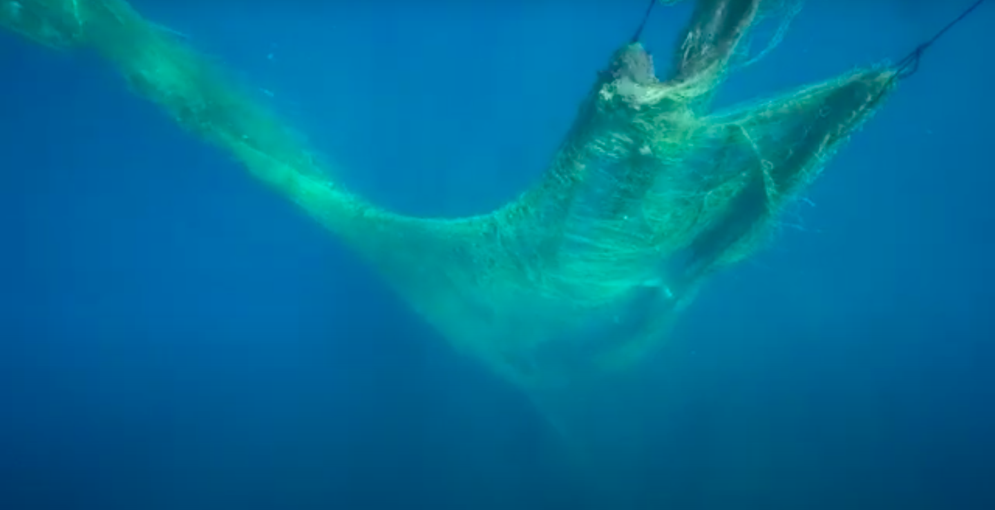 La rete fantasma di Isola delle Femmine: l'ascesa