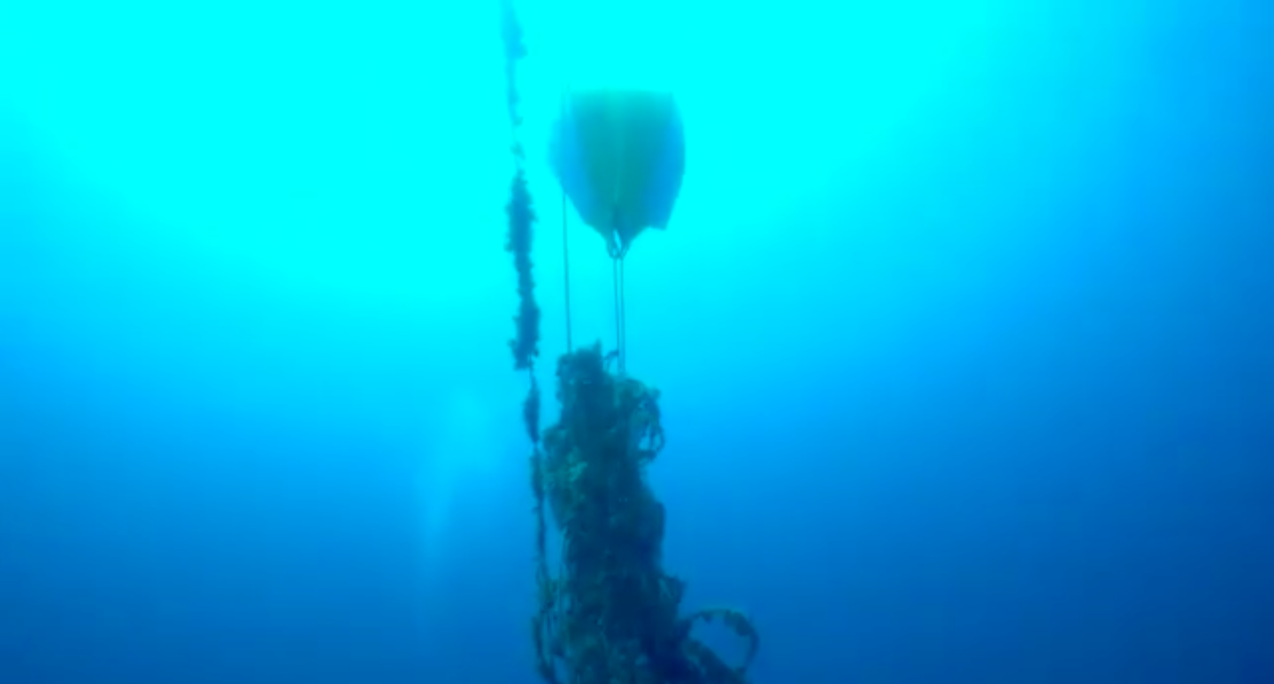 La rete fantasma di Isola delle Femmine: il pallone la traina in superficie