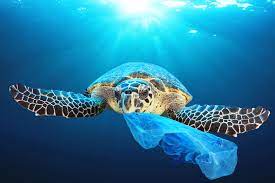 La direttiva Europea SUP: Single Use Plastic