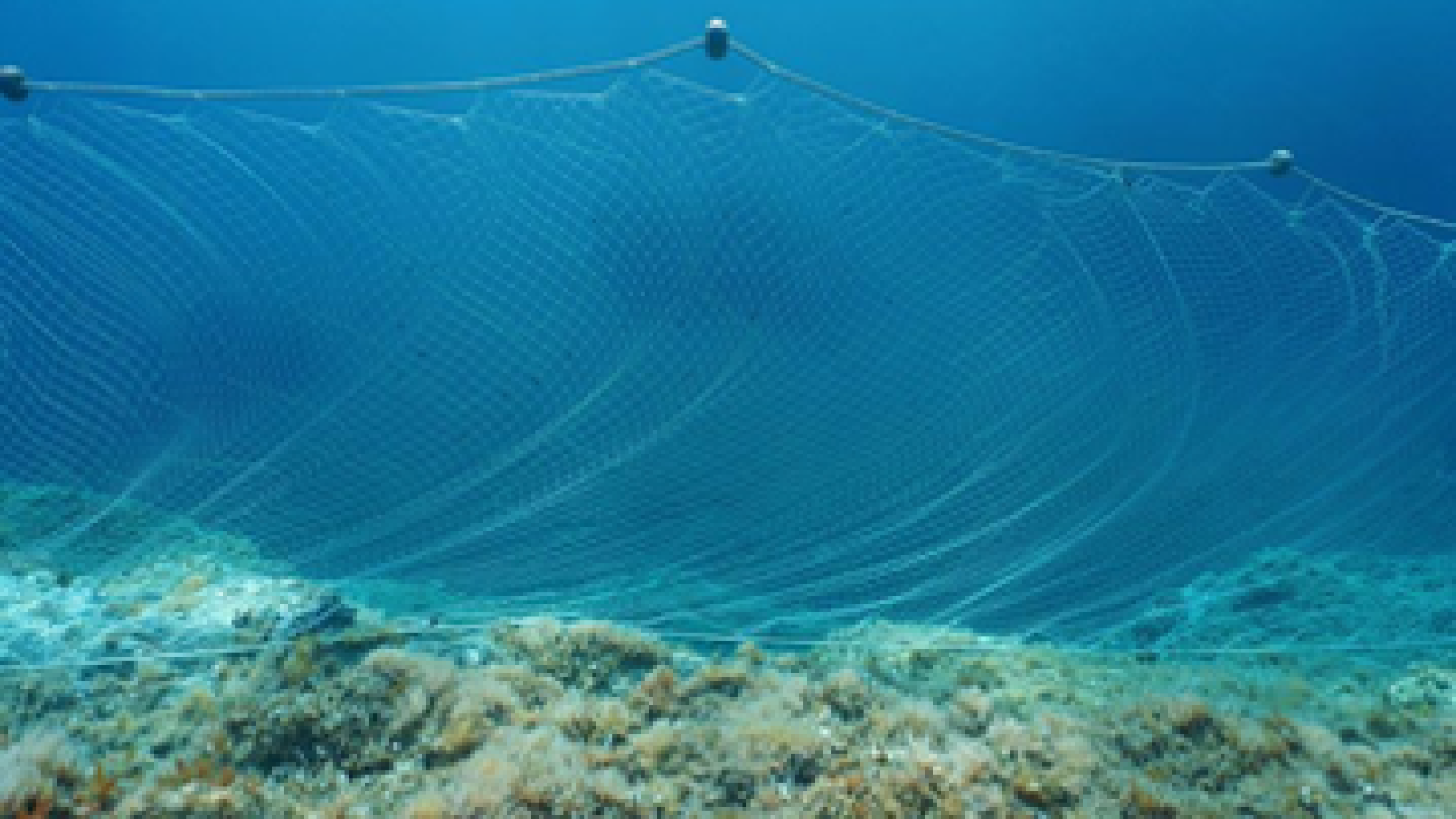 rete-pesca-biodegradabile