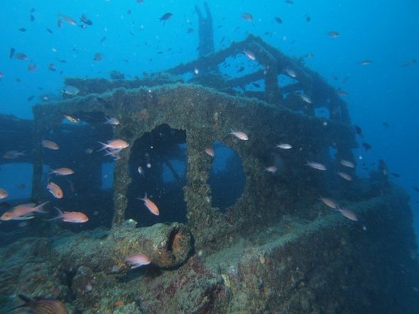 La Bettolina di Sestri