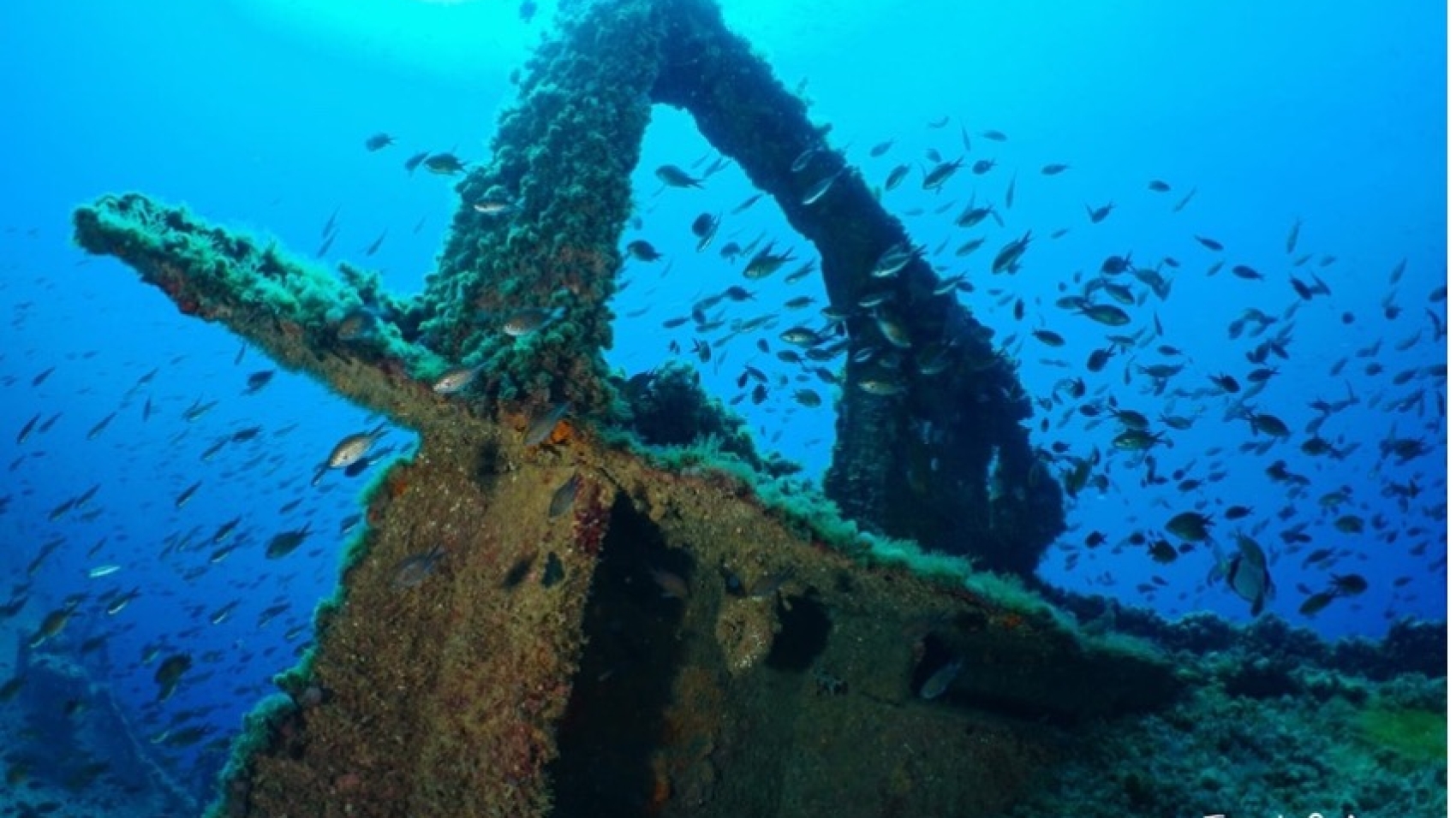 Pavlos-ferro-1