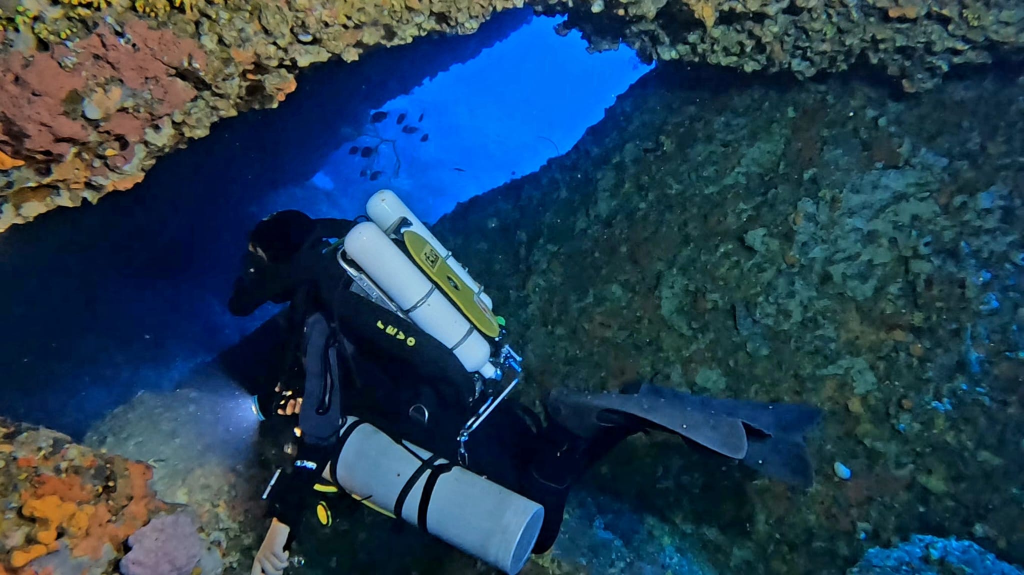 Immersione a Marettimo l’Orlata di San Simone