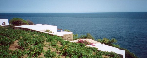 Pantelleria: i Dammusi