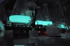 L’utilizzo della bioluminescenza in campo medico